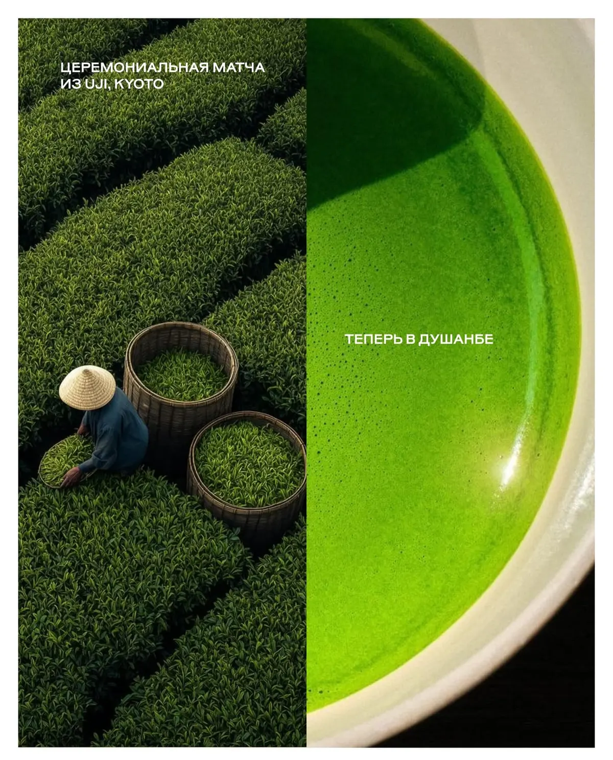 Ceremonial Matcha from Uji Kyoto - DIDIDO Pastry